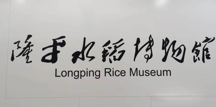 長(zhǎng)沙地鐵6號(hào)線